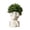 A, variant on Orangide Skull Planters Ceramic White Halloween Tabletop Decor for Plant Plants Home Office Desk Shelf Display Living Room