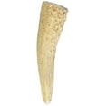 thumbnail image 2 of Big Sky Antler Chew for Dogs Small - 5-40 lbs - (4"-5" Chew), 2 of 3