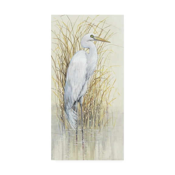 Trademark Fine Art 'Wading I' Canvas Art by Tim O'Toole