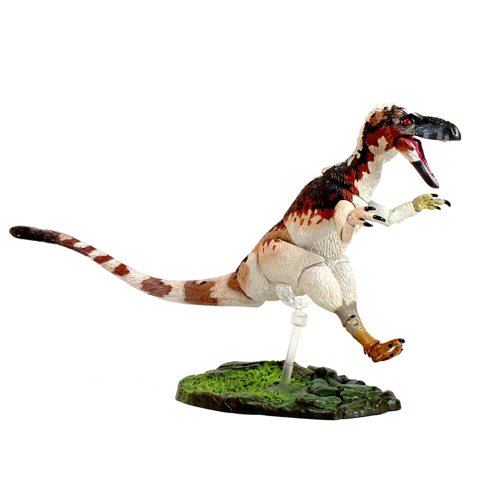 Amazon.com: Creative Beast Studios Beasts of The Mesozoic