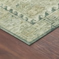 thumbnail image 3 of Addison Rugs Chantille Indoor/Outdoor Traditional Sage Machine Washable Rectangle Rug, 8' x 10', 3 of 8