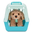 thumbnail image 5 of Little Live Pets My Really Real Puppy Curley the Cavoodle Electronic Pet, 5 of 7