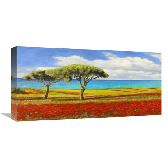 Global Gallery's 'Mediterraneo (detail)' by Angelo Masera Stretched Canvas Wall Art