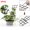 B #2, variant on Vaidha Plant Vines Climbing-Garden Plastic Mini Potted Support HOT