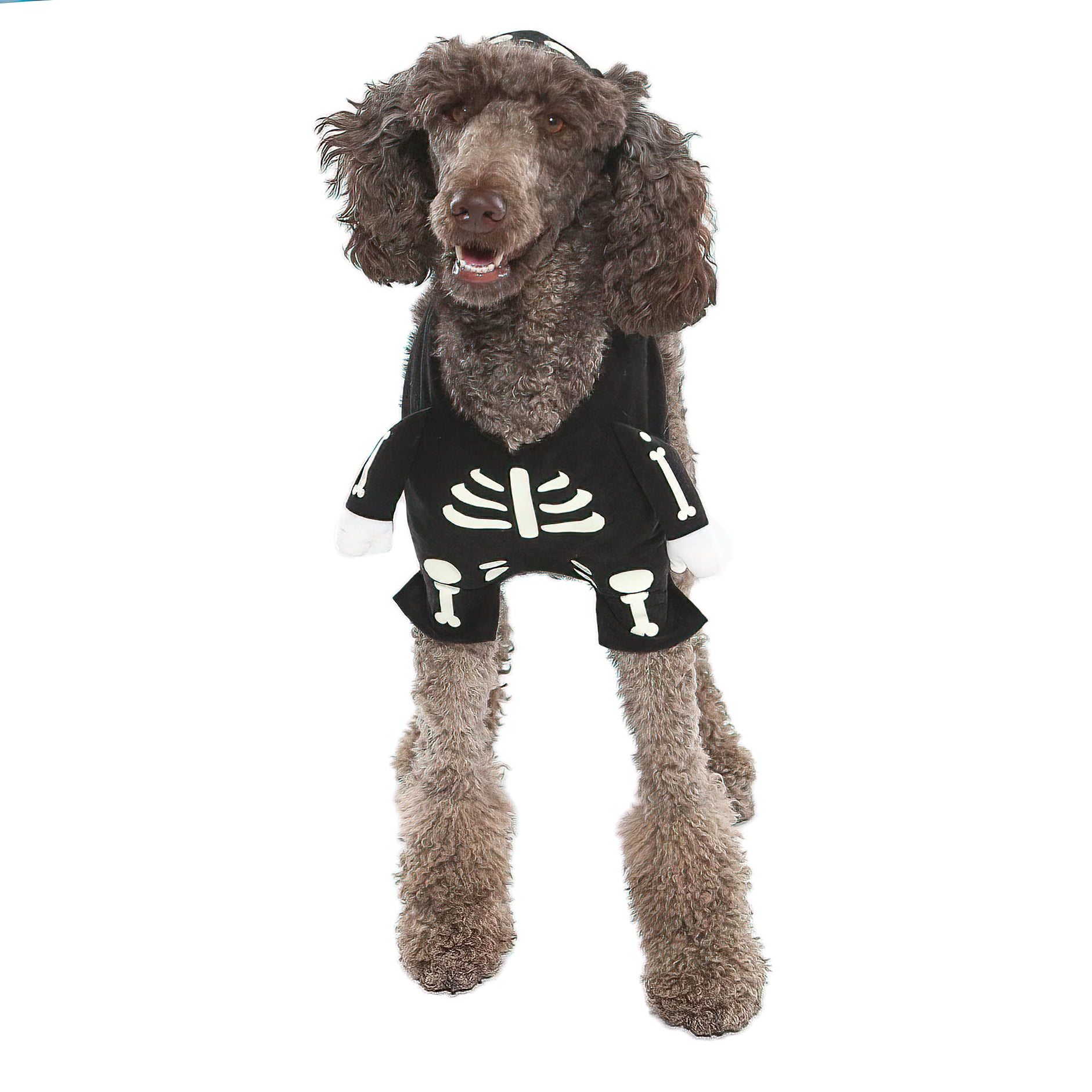 Vibrant Life Vl Hw Gid Skeleton Costume Medium