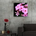 thumbnail image 5 of Epic Art 'Pink Flowers 1' by Photoinc Studio, Acrylic Glass Wall Art, 24"x24", 5 of 8