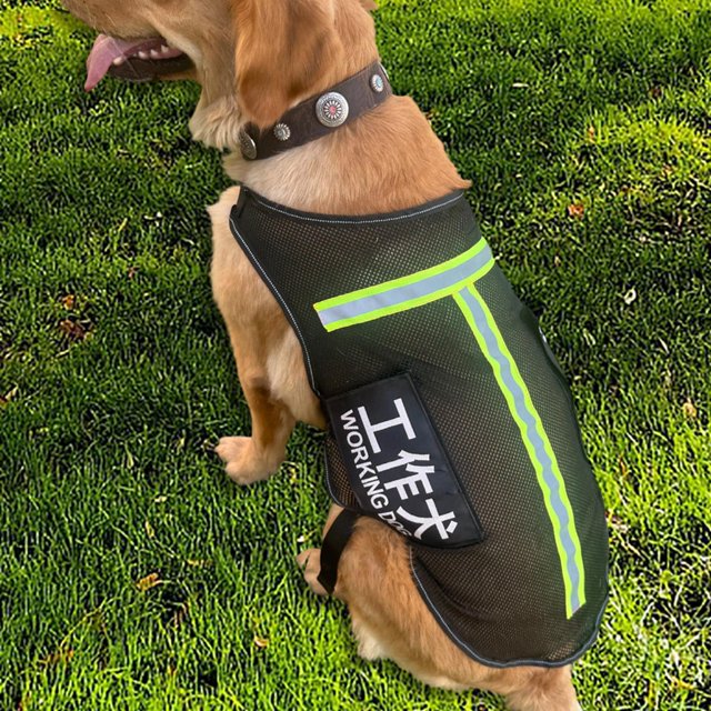 Chaleco para Perro de Servicio Arnés de Entrenamiento Pechera de Malla Chaleco de Seguridad con Hebillas de Liberación Rápida Adecuado para Paseos Y Amarillo L