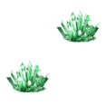 thumbnail image 2 of Youkk Crystal Growing Experiment Science Kit for Kids Conduct Crystals Green 175x125x60mm 2Set, 2 of 6
