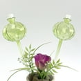 thumbnail image 1 of Pack de 2 Globos de Riego Automático - 500ML de púas autorregantes para plantas en maceta de interior, Vacaciones y Viajes, Solución para Jardineros Perezosos, 1 of 6