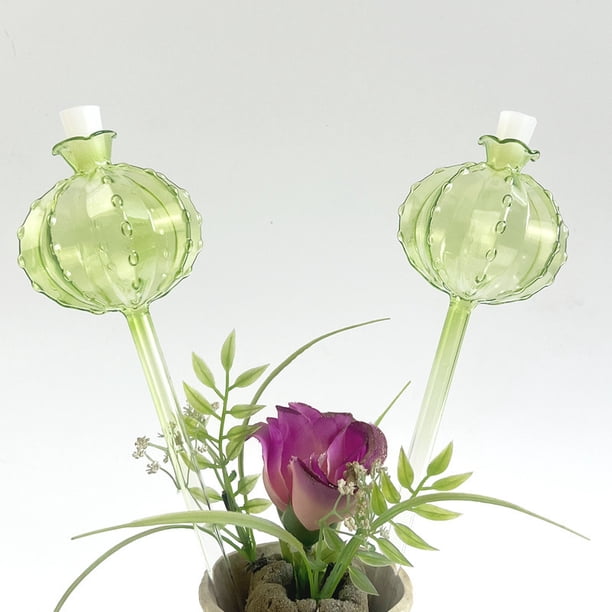 Pack de 2 Globos de Riego Automático - 500ML de púas autorregantes para plantas en maceta de interior, Vacaciones y Viajes, Solución para Jardineros Perezosos