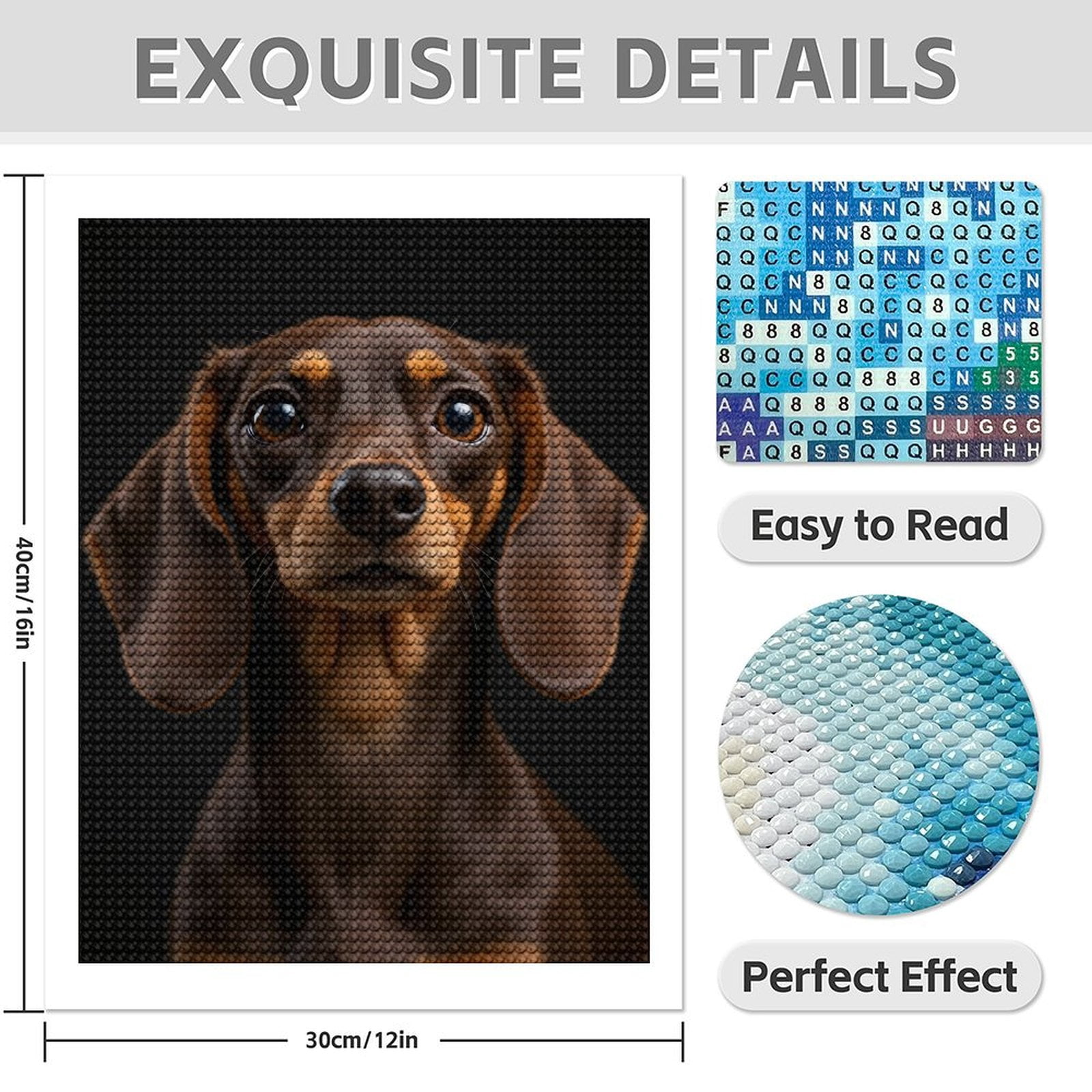 Diamond Art Kits for Adults - 5d Brown Dachshund Closeup Portrait Diamond Painting for Adults, Diamond Art for Adults Beginners, Diamond Painting Kits for Adults for Home Wall Decor