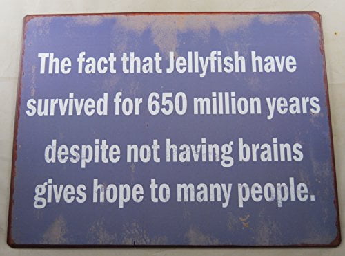 Funny Jellyfish Brains Metal Sign Novelty Coastal Home Beach Bar Pub Wall Decor 