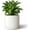 White 10 Inch, variant on 10 Inch Round Cylinder Plant Pot Modern Indoor Outdoor Planter with Drainage Hole Saucer and Water Reservoir