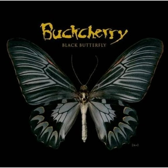 BLACK BUTTERFLY