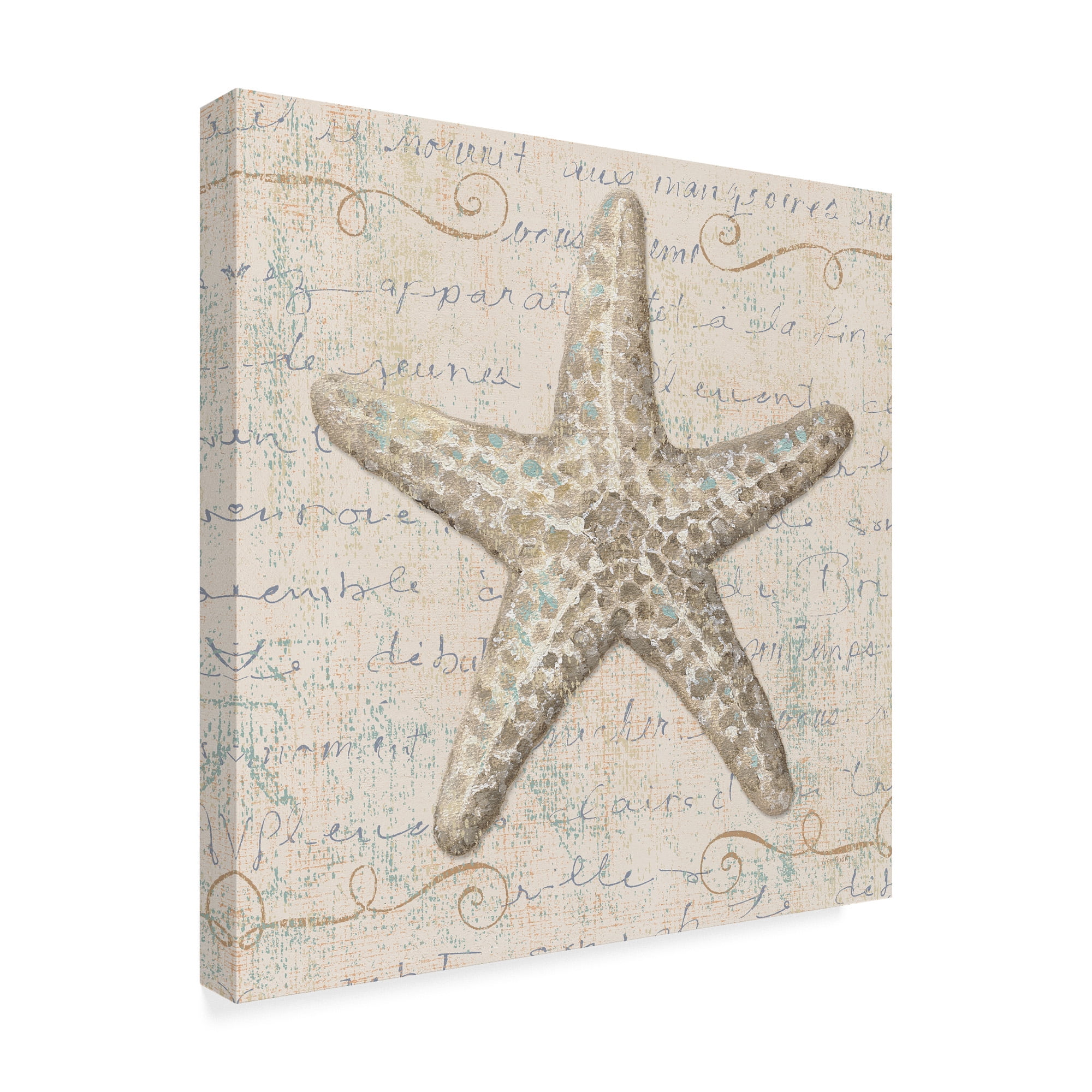 Trademark Fine Art 'Coastal Beauty II' Canvas Art by Lisa Audit