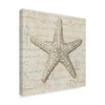thumbnail image 2 of Trademark Fine Art 'Coastal Beauty II' Canvas Art by Lisa Audit, 2 of 3