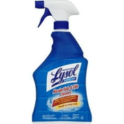 Professional Lysol Basin Tub/Tile Cleaner