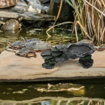 UNOMOR Lizard Basking Platform for Turtle Habitat Natural Environment 1Pack