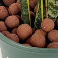 thumbnail image 2 of 1 Bag Of Succulents Clay Rocks Small Natural Stones Decorations Potted Plants Clay Rocks, 2 of 3