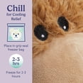 thumbnail image 5 of Warmies Microwavable Weighted Stuffed Animal, Lavender-Scented Donkey Plushie, 1.5 lbs, 5 of 6