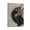 Frame-style, variant on Yumihiko Amano Artist Japanese Artwork Canvas Art Poster and Wall Art Picture Print Modern Family bedroom Decor Posters 12x18inch(30x45cm)