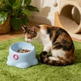 thumbnail image 6 of Elevated Cat Food Bowl for Small Dog, Fat Faced Cat, Kitten, Ceramic Raised and Tilted Water Bowl, Anti Vomiting and Protect Pets' Dishes, 6 of 6
