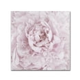 thumbnail image 2 of Trademark Fine Art 'Pink Peony Flower' Canvas Art by Cora Niele, 2 of 2