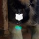 thumbnail image 4 of unbranded 10Ud Etiquetas Personalizadas Para Collar De Mascotas En Aluminio Con De, 4 of 8
