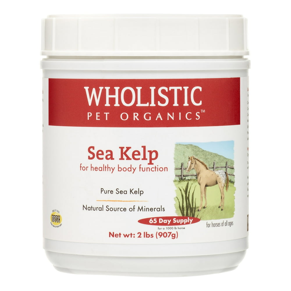 Wholistic Pet Organics Sea Kelp Horse Supplement, 2 Lb