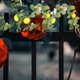 thumbnail image 4 of FOMIYES Guirnalda Artificial Con Hojas Y Flores Para Puertas Y Mesas Multicolor, 4 of 6