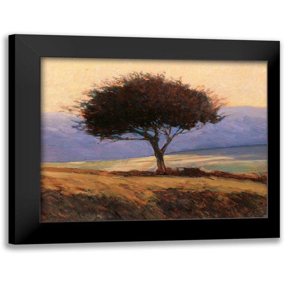 Lovelace, Kent 14x12 Black Modern Framed Museum Art Print Titled - Cloondaff