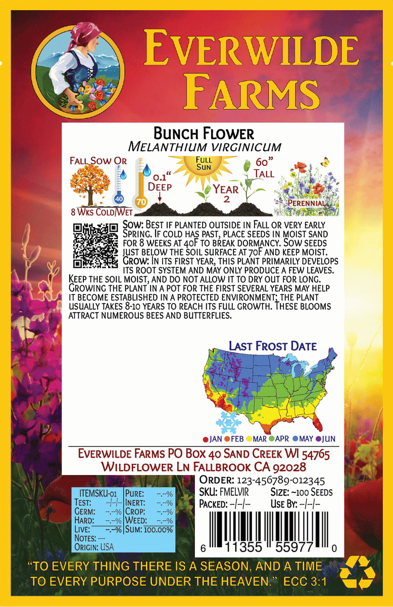 Everwilde Farms - 1 oz Bunch Flower Native Wildflower Seeds - Gold Vault Bulk Seed Packet