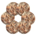 thumbnail image 2 of Squirrels Pine Cones 6 Pcs Drink Coasters with Holder Absorbent Coasters Woven Coasters for Drinks Table Desk Protection Home Decor, 2 of 7