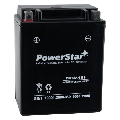 Yamaha Warrior 350 Battery