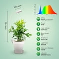 thumbnail image 2 of Lámpara LED para plantas Grow Lights SANSI para macetas, 10 W, paquete de 3 unidades, color blanco, 2 of 6