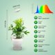thumbnail image 2 of Lámpara LED para plantas Grow Lights SANSI para macetas, 10 W, paquete de 1 paquete, color blanco, 2 of 6