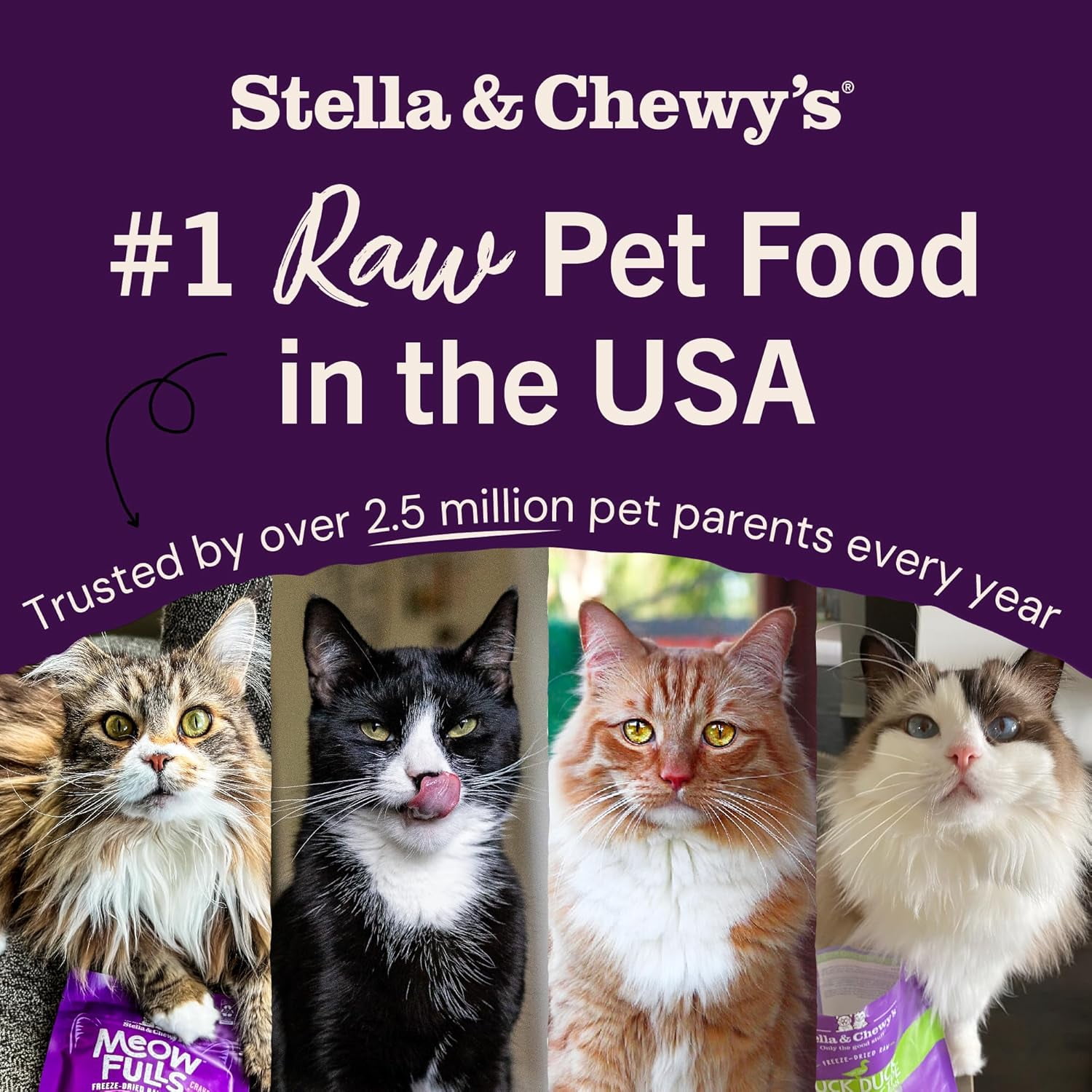 Stella & Chewy's Freeze-Dried Dinner Morsels for Cats - Chick Chick Chicken Recipe - 18 Ounce Bag