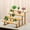 A330 christmas decorations under 5$, variant on CQCYD under $5 Wooden Display Riser Stand, Tiered Perfume Organizer Stand, 4/5 Tier Spice Rack Organizer, Rustic Display Shelf for Candles