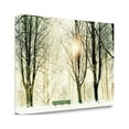 thumbnail image 2 of Tangletown Fine Art Too Cold To Sit by Lars Van De Goor Poster Frame - 23 x 34 x 1.5 in., 2 of 3