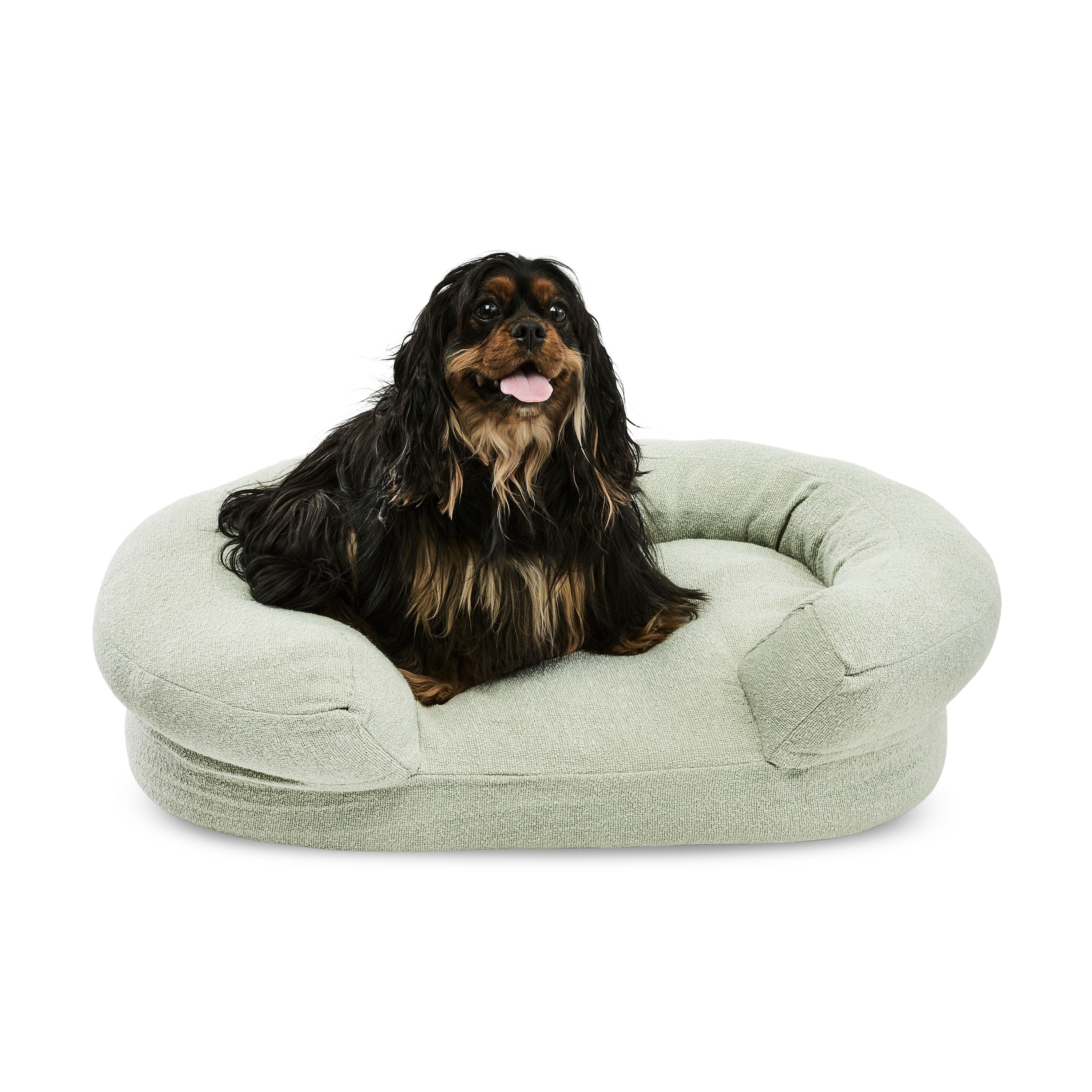 Beautiful Bolster Large Pet Bed, 44 x 34 x 25in, Sage by Drew Barrymore