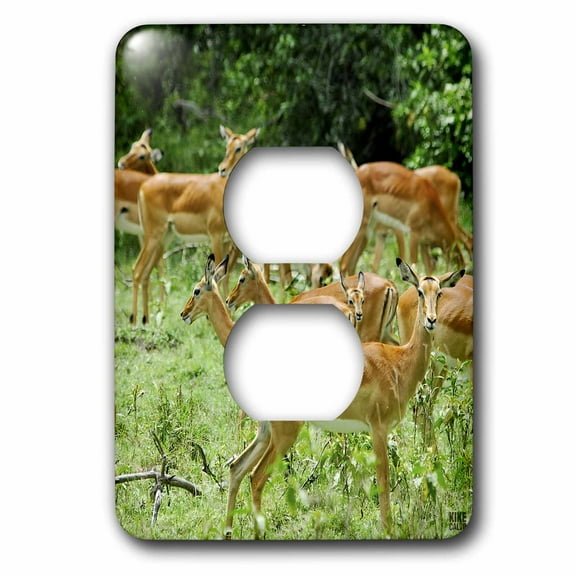 3dRose, The shores of Lake Nakuru in Kenya, 2 plug outlet cover