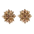 thumbnail image 4 of Faship Gorgeous Smoked Topaz Rhinestone Crystal Floral Clip On Style Earrings, 4 of 5