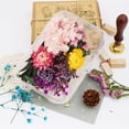thumbnail image 4 of Caja de 2 flores secas para moldes para joyería de resina, manualidades, decoración de uñas, fabricación de velas, jabón, funda de teléfono, joyería, colgante, decoraciones florales, 4 of 5
