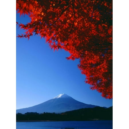 Green Lace Japanese Maple - Mt. Fuji and Maple Leaves, Lake Kawaguchi, Yamanashi, Japan Print Wall Art