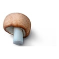 thumbnail image 4 of Hongo Adaptógeno Champiñón Del Sol Agaricus B 60g Commons, 4 of 7