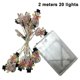 thumbnail image 1 of Luces de Santa Claus, luces de cadena de Navidad Afortunado Sencillez, 1 of 5