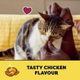thumbnail image 4 of Temptations Gâteries pour Chats Adultes, Tendres et Croquantes, Saveur de Poulet, 4 of 4