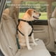 thumbnail image 4 of Kurgo Direct to Seatbelt Tether - Cinturón de seguridad para perros y cinturón de seguridad para coche para perros, color azul, 4 of 5