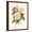 Brown Frame, variant on Art.com Vintage Roses II Art Print by Vision Studio, 12" x 16"