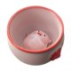 thumbnail image 1 of Taza de té de cerámica con forma de cerdito, adorno coleccionable, portátil, con mascota de té Kung Fu 160 ml, 1 of 9